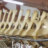 Chiêm ngưỡng hai bộ xương cá voi lớn nhất Việt Nam ở đảo Lý Sơn