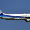 Máy bay của hãng hàng không All Nippon Airways. (Ảnh: Kyodo/TTXVN)