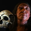 Khuôn mặt được phục dựng của Shanidar Z, người phụ nữ Neanderthal sống cách đây 75.000 năm, được công bố tại trường Đại học Cambridge, Anh, ngày 25/4/2024. (Ảnh: AFP/TTXVN)