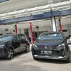 Doanh số bán hàng của Peugeot ở Indonesia đã giảm 68% xuống còn 23 chiếc trong quý đầu tiên của năm 2024, sau khi giảm 56% xuống còn 199 chiếc trong cả năm 2023. (Nguồn: Wapcar)