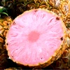 Dứa Pinkglow. (Nguồn: Pinkglow Pineapple)