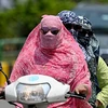 Người dân trùm kín tránh nắng nóng khi di chuyển tại Ấn Độ. (Ảnh: AFP/TTXVN)