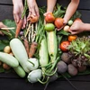 Thức ăn chủ yếu là trái cây, rau và ngũ cốc giúp giảm gần 1/3 nguy cơ tử vong sớm ở người. (Nguồn: Tofubud)