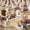 Cựu chiến binh Cáp Kim Xinh chăm sóc phần mộ liệt sỹ tại Nghĩa trang Liệt sỹ xã Cam Chính, huyện Cam Lộ, tỉnh Quảng Trị. (Ảnh: Nguyên Lý/TTXVN)