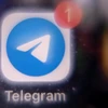 Biểu tượng ứng dụng Telegram. (Ảnh: AFP/TTXVN)