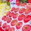 Hai giống táo Aomori nổi tiếng của Nhật Bản đã xuất hiện tại Hà Nội. (Ảnh: PV/Vietnam+)