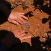 Nhờ những 'mẹo nhỏ' đặt chai nhựa úp xuống đất và quan sát mức độ nước tụ lại trong chai, người nông dân đã có một công cụ để đo độ ẩm của đất. (Ảnh: Minh Sơn/Vietnam+)