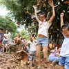 Sáng 30/4 tại khu đô thị Ecopark, các gia đình và em nhỏ đã cùng nhau thưởng thức hàng chục trò chơi độc đáo và đầy sáng tạo. (Ảnh: Minh Sơn/Vietnam+)