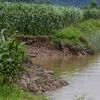 Hàng chục hécta đất phù sa có nguy cơ bị sạt lở nghiêm trọng vì sự lộng hành của 'cát tặc'. (Ảnh: PV/Vietnam+)