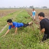 Sau vụ thu hoạch hè thu, nhiều thửa ruộng ở các huyện ngoại thành Hà Nội trở thành địa điểm ưa thích của đám trai làng đi săn chuột đồng. (Ảnh: Minh Sơn/Vietnam+)