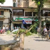 Vụ tai nạn đã khiến phố Phan Huy Chú bị ngăn cách vì thân cây chắn ngang đường. (Ảnh: Minh Sơn/Vietnam+)