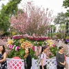 Sáng 24/3 tại Tượng đài Lý Thái Tổ, hàng vạn người dân Thủ đô đã đến tham dự Lễ hội hoa anh đào 2018. (Ảnh: Minh Sơn/Vietnam+)