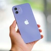 Chỉ ít tuần sau khi được ra mắt, bộ đôi iPhone 12 và 12 Mini phiên bản màu tím đã được một số cửa hàng nhập về Việt Nam. (Ảnh: PV/Vietnam+)