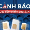 Ảnh minh họa. (Ảnh: Minh Sơn/Vietnam+)