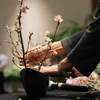 Nghệ nhân giới thiệu phong cách cắm hoa Ikebana Nhật Bản. (Ảnh: BTC) 