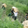 Lạng Sơn tăng cường chống buôn lậu, gian lận thương mại dịp Tết