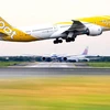 Hãng hàng không giá rẻ Scoot Air của Singapore. (Nguồn: TTG Asia) 