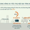 Tổng lượng xăng E5 tiêu thụ nội địa tăng đầu năm 2018. (Nguồn: Vietnam+)