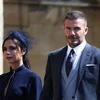 Nhiều người nổi tiếng đến dự đám cưới Hoàng gia Anh. (Nguồn: Elite Daily)