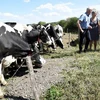 Mùa màng “thất bát”, nông dân Đức kêu gọi chính phủ trợ cấp đặc biệt. (Nguồn: Independent)