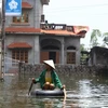 Tình hình ngập lụt tại huyện Chương Mỹ, Hà Nội. (Nguồn: Vietnam+)