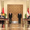 Chủ tịch nước Trần Đại Quang và Tổng thống Ai Cập Abdel Fattah Al Sisi chứng kiến lễ ký các văn kiện hợp tác giữa hai nước. (Nguồn: Nhan Sáng/TTXVN)