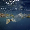 Vấn đề rác thải trong môi trường là chủ đề chính của Hội nghị Bộ trưởng G7 tại Canada. (Nguồn: National Geographic)