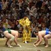 Hai võ sĩ sumo trong tư thế sẵn sàng chiến đấu. (Nguồn: Nguyễn Tuyến/TTXVN)