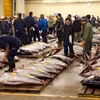 Chợ cá Tsukiji: Dấu chấm hết cho một biểu tượng của Nhật Bản. (Nguồn: ABC News)