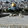 Cả Israel và Palestine đều tuyên bố Jerusalem là thủ đô. (Nguồn: AFP)