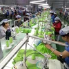 Sản xuất may mặc tại Công ty Far Eastern New Apparel Việt Nam-Khu công nghiệp Bắc Đồng Phú, tỉnh Bình Phước. (Ảnh: Dương Chí Tưởng/TTXVN)