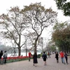Nhiều người dân Thủ đô đi chơi Tết quanh Hồ Hoàn Kiếm. (Ảnh: Anh Tuấn/TTXVN)