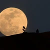 Mặt Trăng vẫn là điểm đến "ưa thích" của các nhà khoa học trên Trái Đất. (Nguồn: Phys.org)