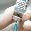 vắcxin phòng sởi đang được chuyển tới các khu vực bùng phát dịch sởi ở New Zealand. (Nguồn: twincities.com)