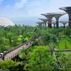 Quảng cảnh Garden by the Bay ở Singapore. (Nguồn: Eco-Business.com)