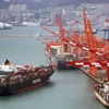 Một tàu chở hàng của Hàn Quốc cập cảng. (Mettis News)
