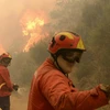 Lính cứu hỏa Bồ Đào Nha đang chiến đấu với "giặc lửa." (Nguồn: Freiros)