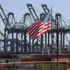 Container hàng hóa được xếp dỡ tại cảng Long Beach, Los Angeles, Mỹ. (Ảnh: AFP/TTXVN)