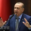 Tổng thống Thổ Nhĩ Kỳ Recep Tayyip Erdogan phát biểu tại Ankara. (Nguồn: AFP/TTXVN)