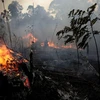 Cháy rừng tại Amazon. (Nguồn: The Washington Post)