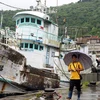 Tàu cá của Đài Loan (Trung Quốc) neo đậu tại bờ để tránh bão. (Nguồn: HLN)