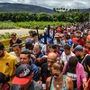 Dòng người Venezuela đi di cư. (Nguồn: Forbes)