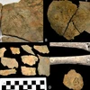 Một số cổ vật được trưng bày. (Nguồn: Teller Report)