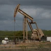 Một cơ sở khai thác dầu tại Cotulla, Texas, Mỹ. (Ảnh: AFP/TTXVN)