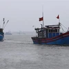 Tàu thuyền của ngư dân Việt Nam. (Ảnh minh họa: Hồ Cầu/TTXVN)