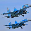 Máy bay tiêm kích Su-27 của Nga. (Ảnh: The National Interest)