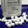 OxyContin-loại thuốc được cho là gây ra phần lớn nạn nghiện thuốc giảm đau tại Mỹ. (Ảnh: CTV)