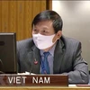 Đại sứ Đặng Đình Quý, Trưởng Phái đoàn Việt Nam tại Liên hợp quốc. (Nguồn: TTXVN phát)