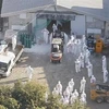 Các nhân viên trong trang phục bảo hộ tiến hành tiêu hủy hàng nghìn con gà sau khi phát hiện cúm gia cầm. (Ảnh: Kyodo/TTXVN)