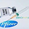 Hình ảnh mô phỏng vaccine ngừa COVID-19 do hãng dược phẩm Pfizer của Mỹ và BioNTech của Đức hợp tác phát triển. (Ảnh: AFP/TTXVN)